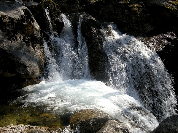 Escursione Parco Nazionale d''Abruzzo